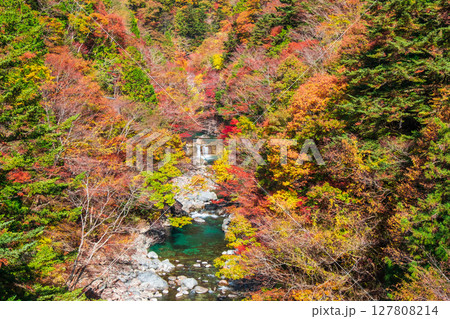 付知峡(秋) 付知峡(秋) 127808214