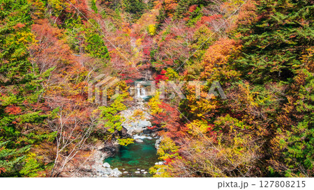 付知峡(秋) 付知峡(秋) 127808215