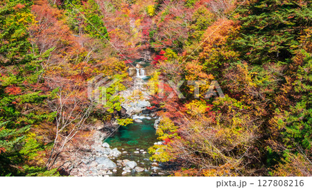 付知峡(秋) 付知峡(秋) 127808216