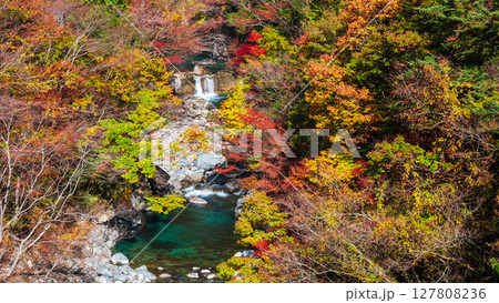 付知峡(秋) 付知峡(秋) 127808236