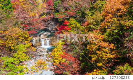 付知峡(秋) 付知峡(秋) 127808238