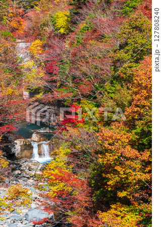 付知峡(秋) 付知峡(秋) 127808240