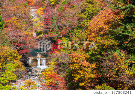 付知峡(秋) 付知峡(秋) 127808241