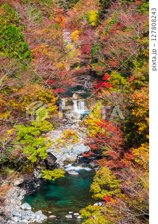 付知峡(秋) 付知峡(秋) 127808243