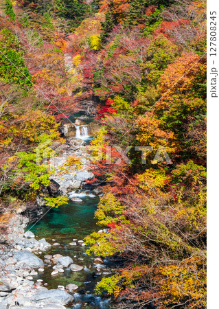 付知峡(秋) 付知峡(秋) 127808245