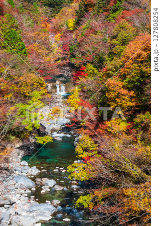 付知峡(秋) 付知峡(秋) 127808254