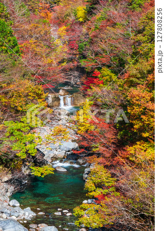 付知峡(秋) 付知峡(秋) 127808256