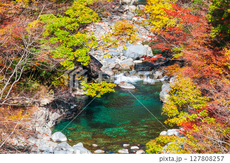 付知峡(秋) 付知峡(秋) 127808257