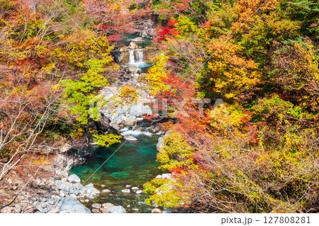 付知峡(秋) 付知峡(秋) 127808281