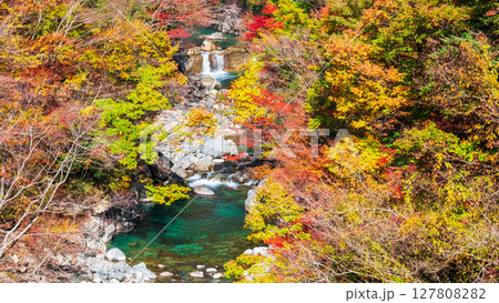 付知峡(秋) 付知峡(秋) 127808282