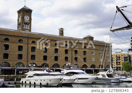 セントキャサリンズドッグ 127808343