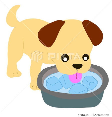 犬が氷入りの水を飲んでいる 127808866