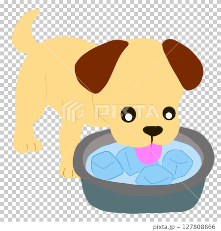 犬が氷入りの水を飲んでいる 127808866