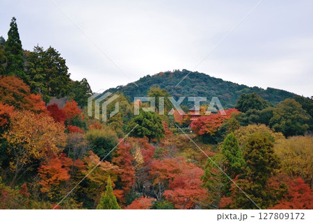 紅葉に染まる山々 紅葉に染まる山々 127809172