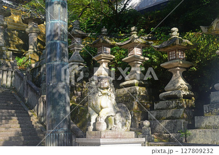 香川県金刀比羅宮桜馬場西詰銅鳥居前の狛犬-3 127809232