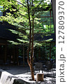 緑のある風景 127809370