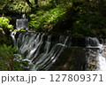 新緑に包まれた滝 127809371