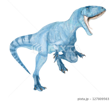 ティラノティタン　カルカロドントサウルス科の大型肉食恐竜だがギガノトサウルス族とされる巨大な暴君の名 127809563