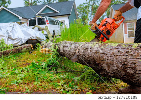 Worker cuts down fallen tree with chainsaw in suburban neighborhood after storm 127810189