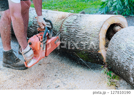 Worker cuts tree trunk into sections using chainsaw after recent storm 127810190