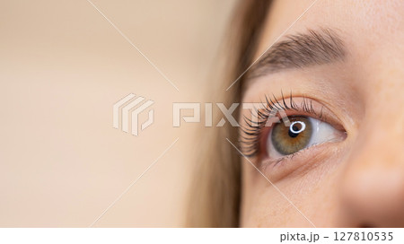 Close-up of a woman's eye after eyelash lamination procedure. Close-up of a woman's eye after eyelash lamination procedure. 127810535