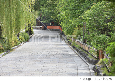 白川の道 127810970