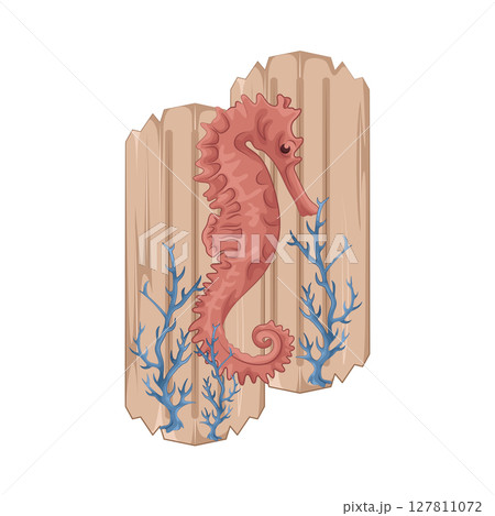 Illustration of Seahorse Illustration of Seahorse 127811072