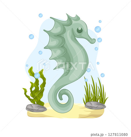 Illustration of Seahorse 127811080