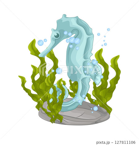 Illustration of Seahorse Illustration of Seahorse 127811106