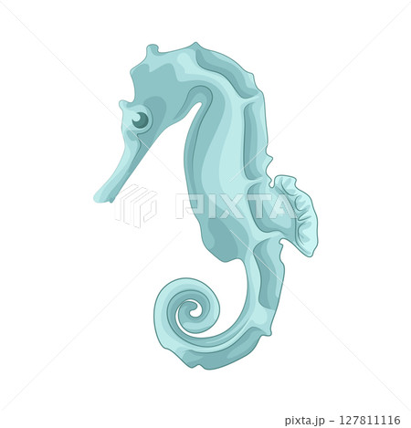 Illustration of Seahorse Illustration of Seahorse 127811116
