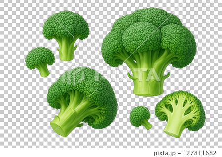 Broccoli [whole and sliced, cut-out illustration] 127811682