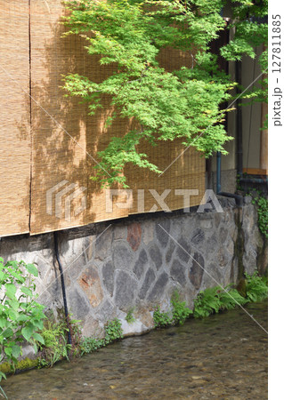 白川の青紅葉 127811885