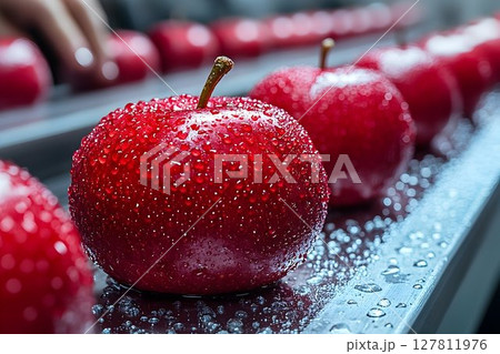 Dew-Kissed Red Apples on Conveyor Belt 127811976
