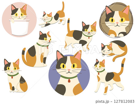 いろんなポーズの三毛猫セット、Set of Cute Calico Cats in Various  127812083