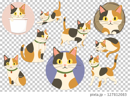 いろんなポーズの三毛猫セット、Set of Cute Calico Cats in Various  127812083