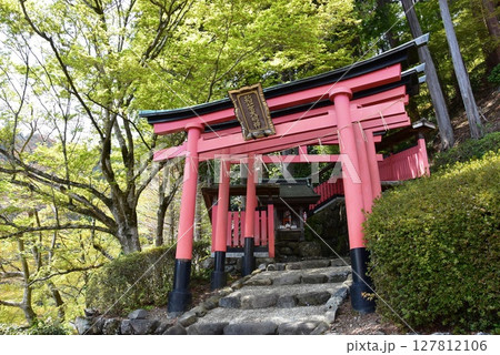 京都市 善峯寺の稲荷社と新緑 京都市 善峯寺の稲荷社と新緑 127812106