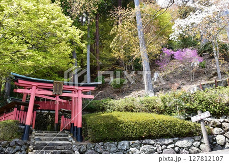 京都市　善峯寺の稲荷社と深緑 127812107