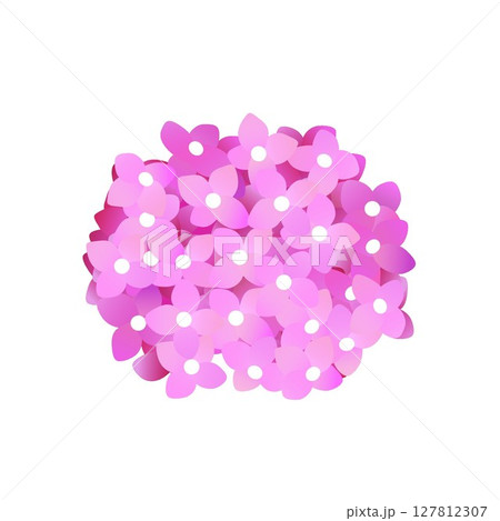 紫陽花のイラスト 127812307