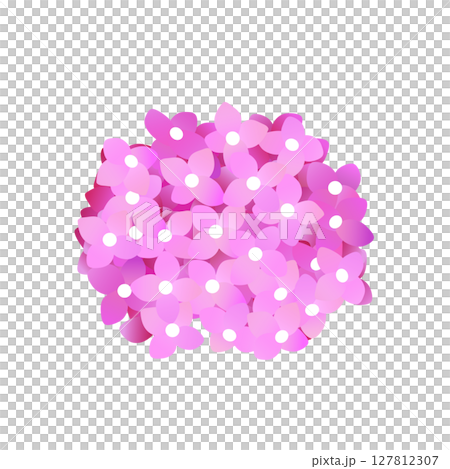紫陽花のイラスト 127812307