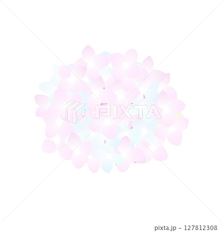 紫陽花のイラスト 紫陽花のイラスト 127812308