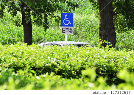 荒川彩湖公園駐車場_08 127812617