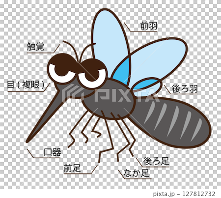 蚊子的插圖 127812732