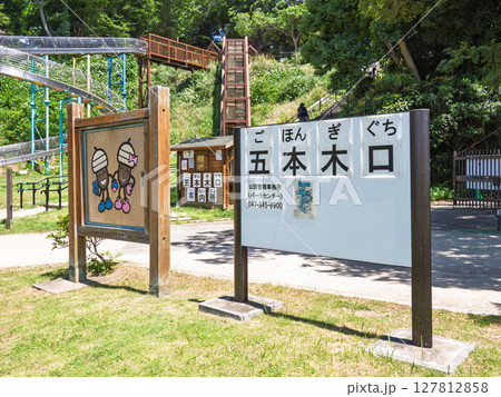 千葉県松戸市「21世紀の森と広場」五本木口 127812858