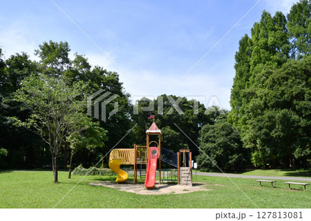 秋ヶ瀬公園の森滑り台_01 127813081