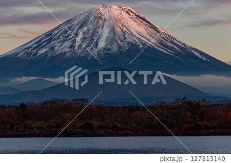 精進湖畔から見る残照の富士山 127813140