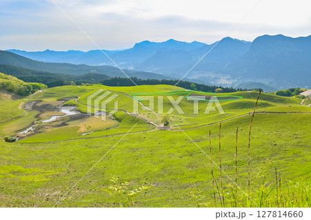 奈良・曽爾高原 奈良・曽爾高原 127814660