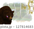 Hazel blossom in Russia. Nature, bear, symbol. flag, birches. 127814683