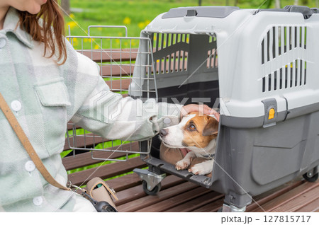 Caucasian woman traveling with dog. Owner sits on bench with Jack Russell Terrier in cage for safe travel. 127815717