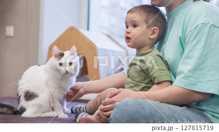 Caucasian little boy with mother in cat cafe.  127815719
