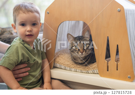 Caucasian little boy in cat cafe next to tabby cat. Caucasian little boy in cat cafe next to tabby cat. 127815728